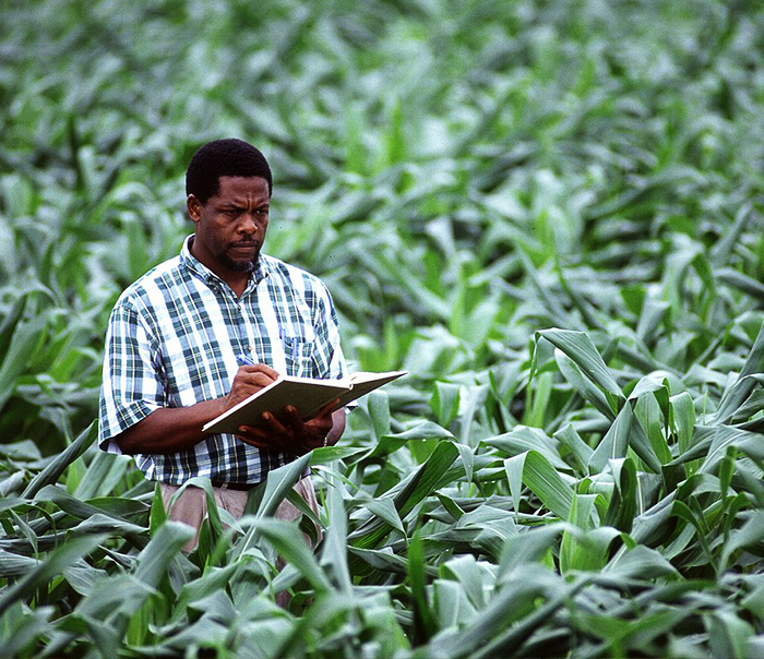 AVIS D’APPEL A CANDIDATURES POUR LE RECRUTEMENT DES INGENIEURES AGRONOMES SAIC Industries